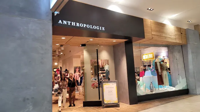 Anthropologie 3
