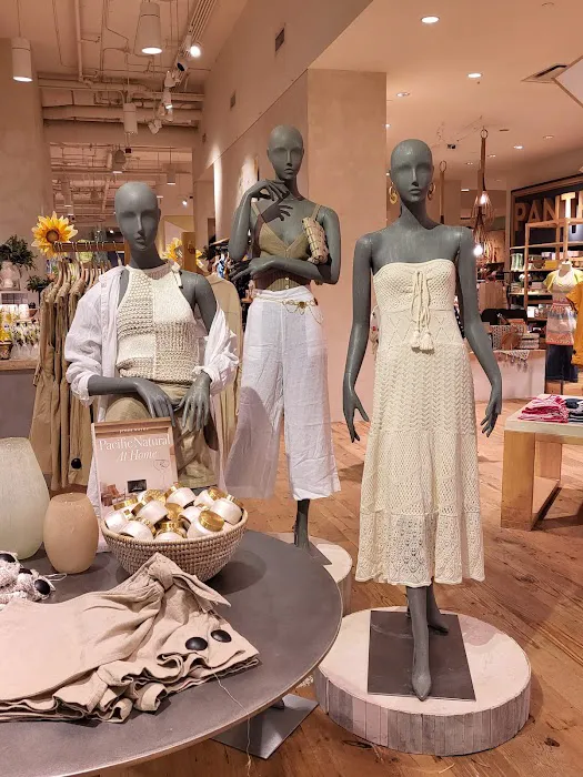 Anthropologie 5
