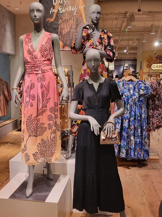 Anthropologie 8