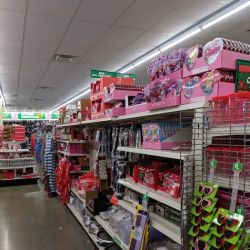 Dollar Tree ico