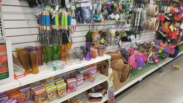 Dollar Tree 7