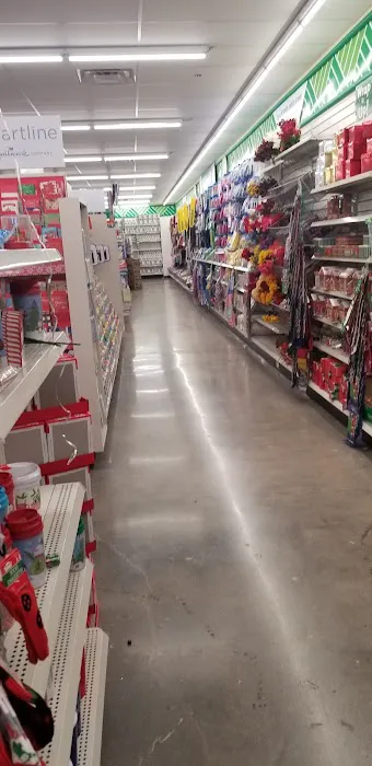 Dollar Tree 8