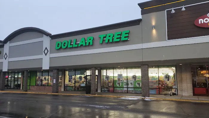 Dollar Tree 6