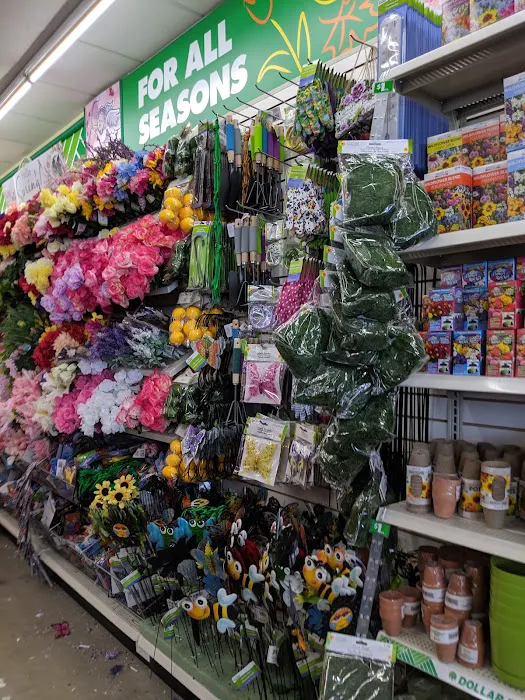 Dollar Tree 9