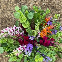 Bloomin' Tons Floral Co. ico