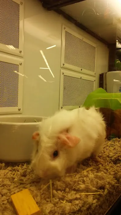 Petco 9