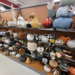 T.J. Maxx ico
