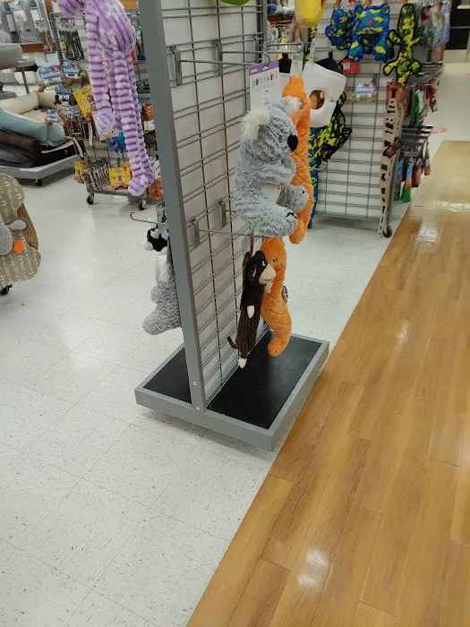T.J. Maxx 4