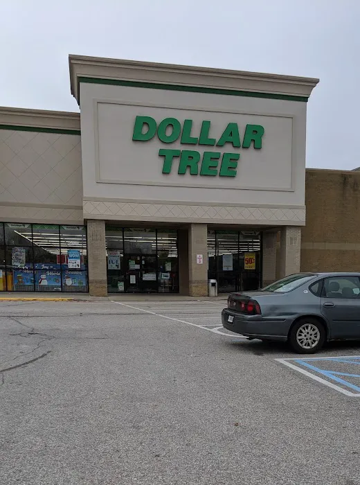 Dollar Tree 5