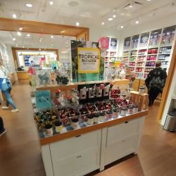 Bath & Body Works ico