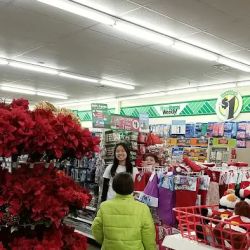 Dollar Tree ico
