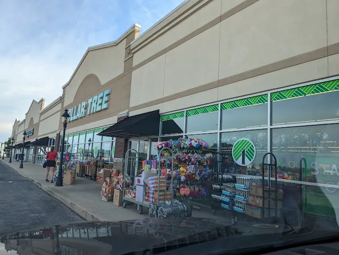 Dollar Tree 2