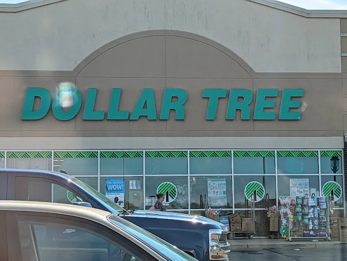 Dollar Tree 6
