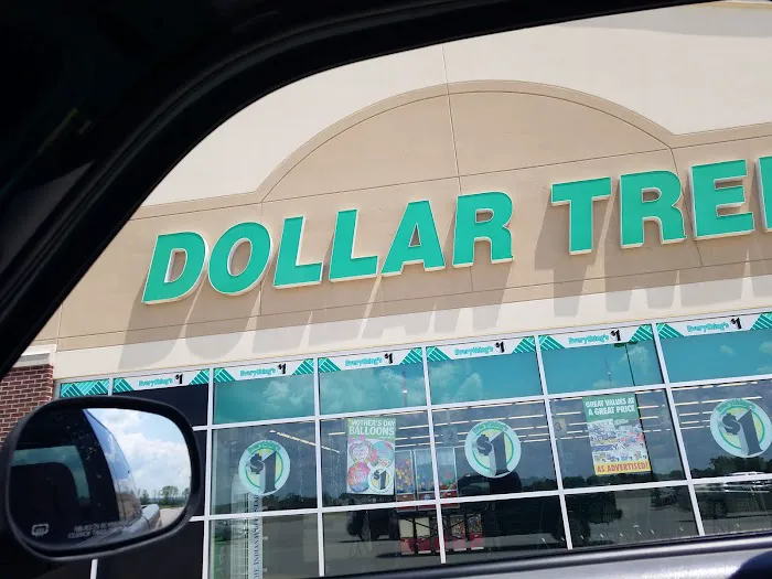 Dollar Tree 8