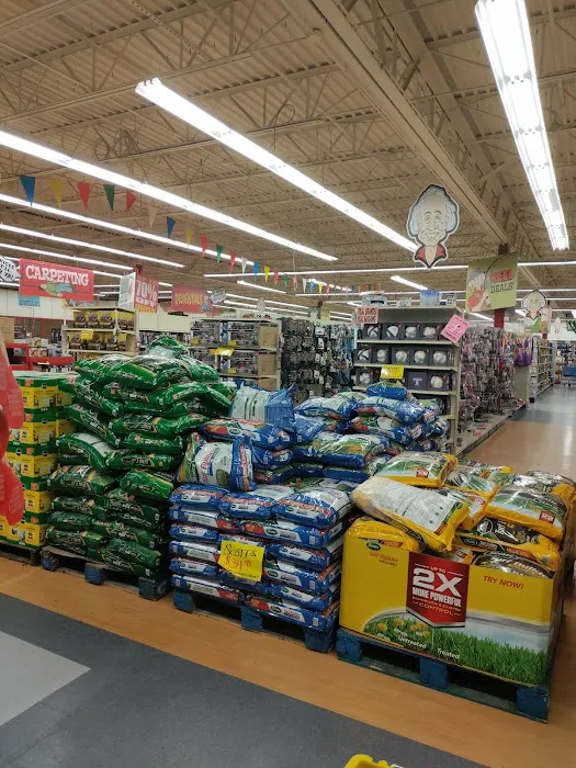 Ollie's Bargain Outlet 7