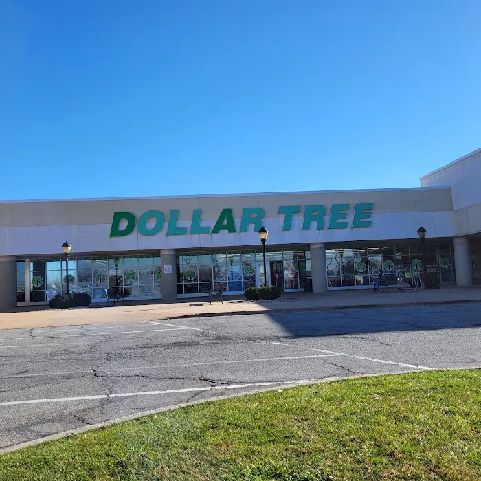Dollar Tree 9