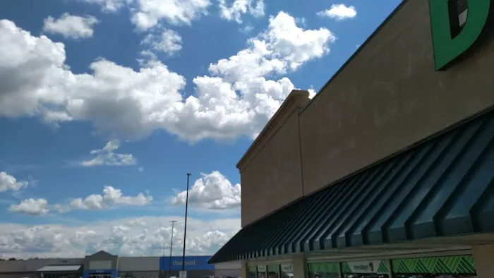 Dollar Tree 8