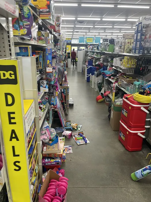 DG Market 8