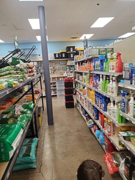 Sycamore Ace Hardware 9