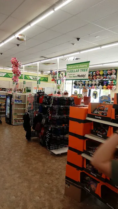 Dollar Tree 2