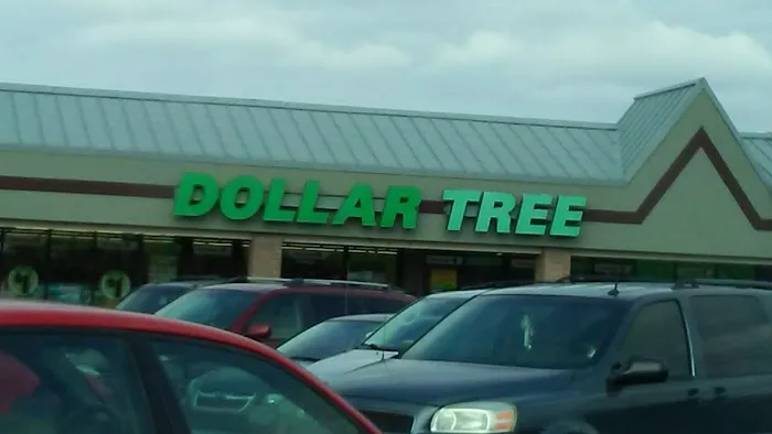 Dollar Tree 6