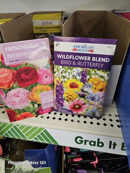 Dollar Tree 4