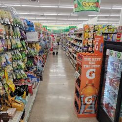 Dollar Tree ico
