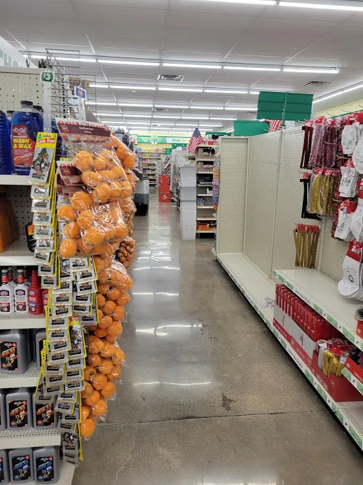 Dollar Tree 5