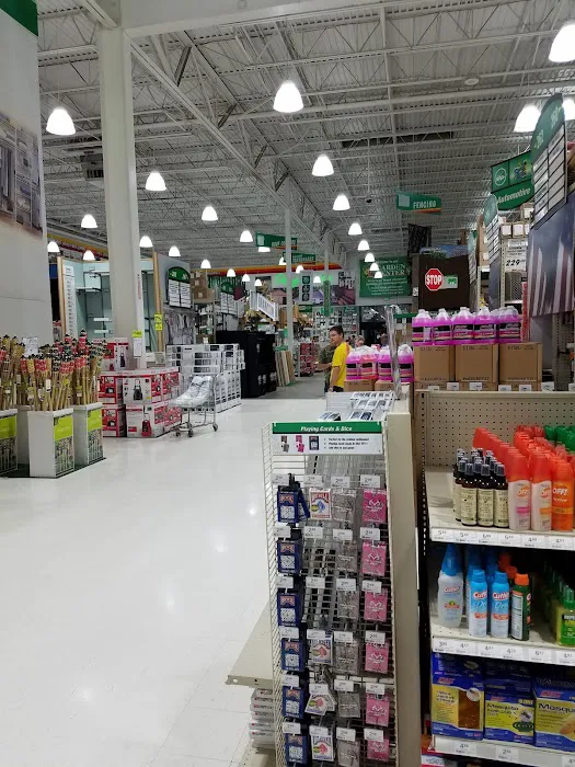 Menards 6