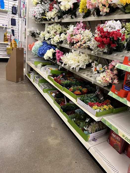 Dollar Tree 1