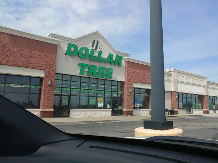 Dollar Tree 6