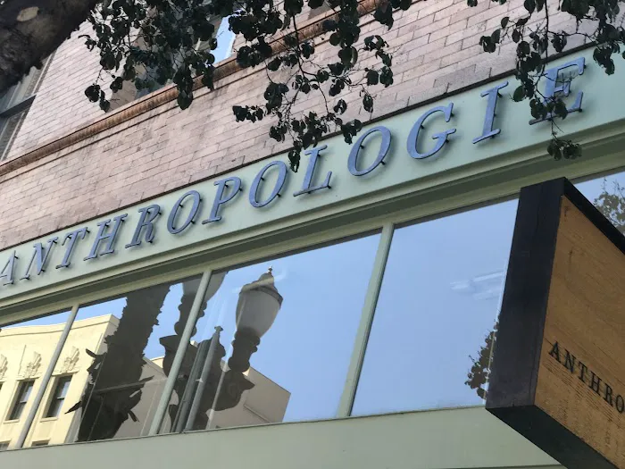 Anthropologie 0