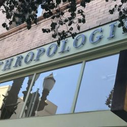 Anthropologie ico