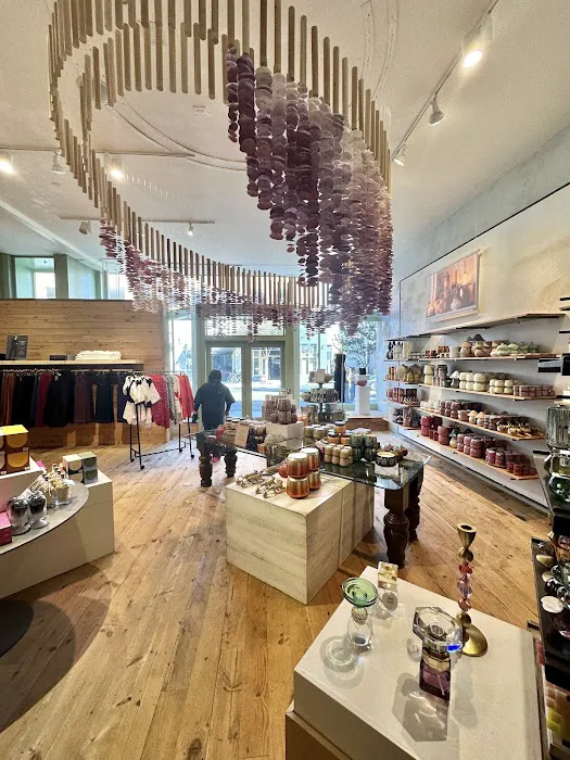 Anthropologie 1