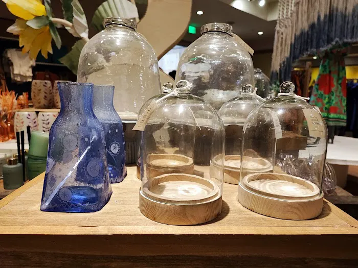Anthropologie 3