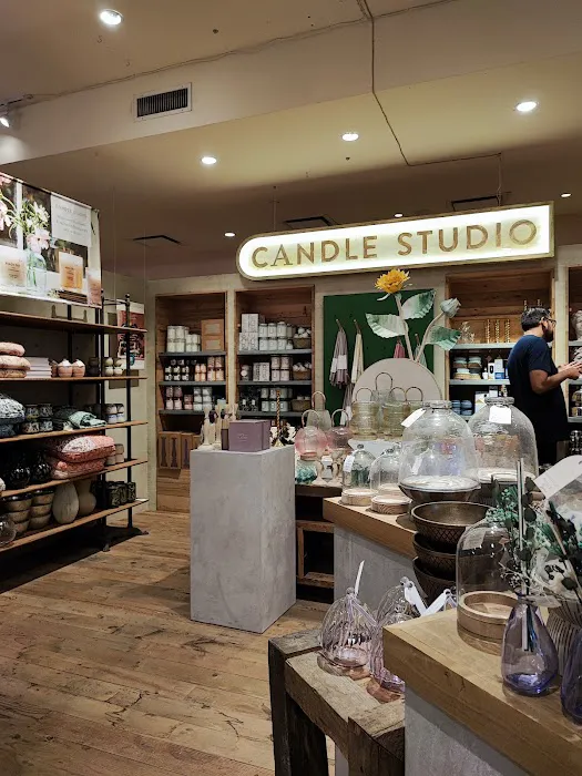 Anthropologie 4