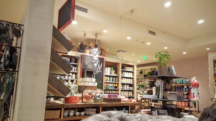 Anthropologie 7