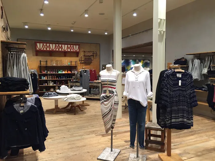 Anthropologie 5