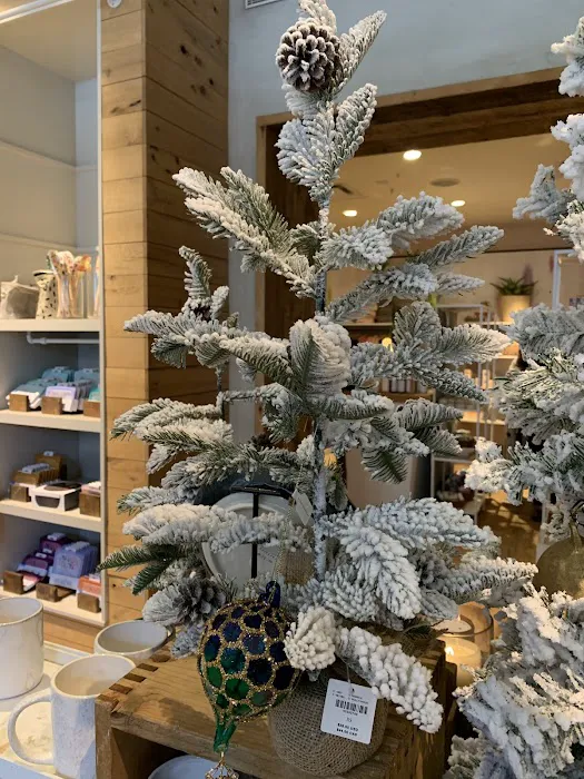 Anthropologie 9