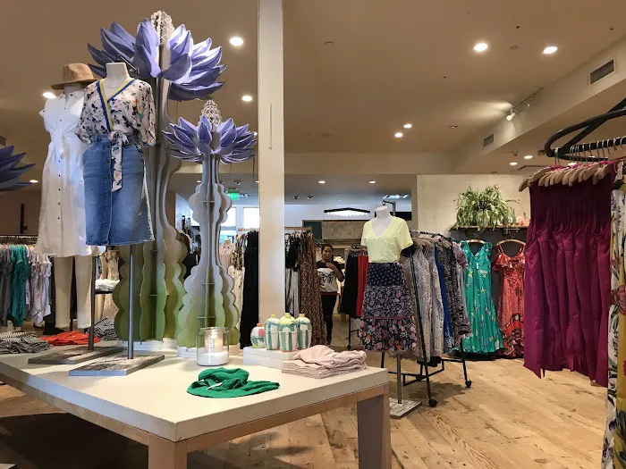 Anthropologie 8