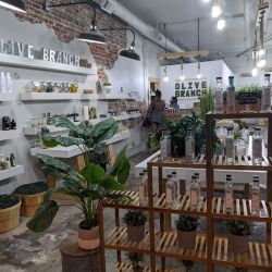 Olive Branch Wellness Boutique ico