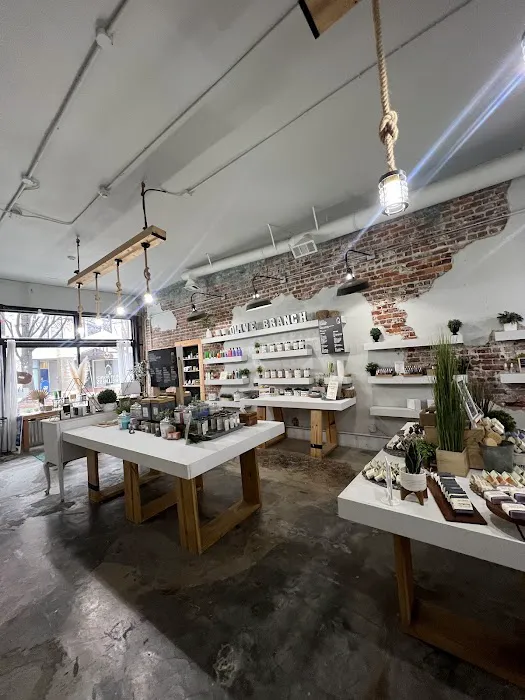 Olive Branch Wellness Boutique 4