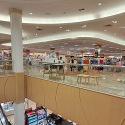 Dillard's ico