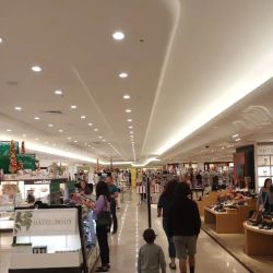 Dillard's ico