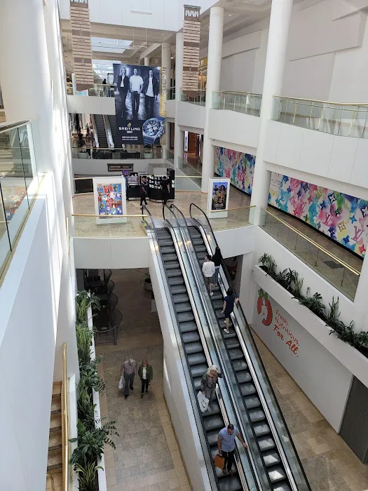 Dillard's 3