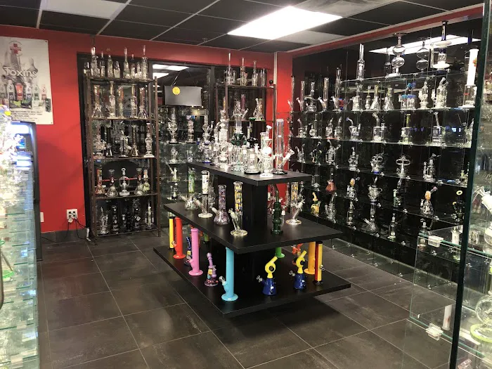 Glass Monkey Smoke Shop 5