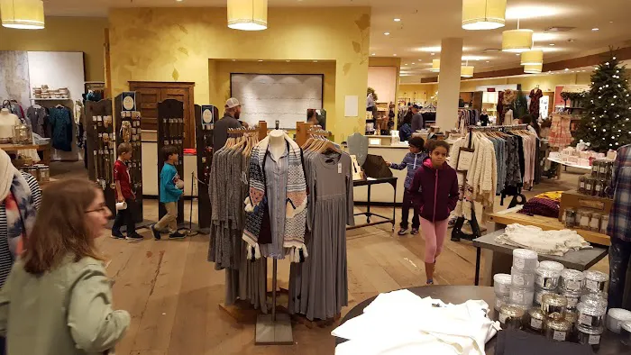Anthropologie 7