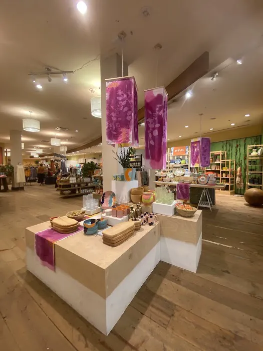 Anthropologie 2