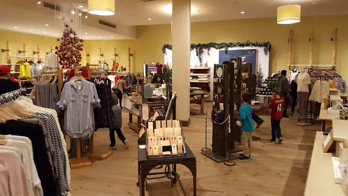 Anthropologie 9