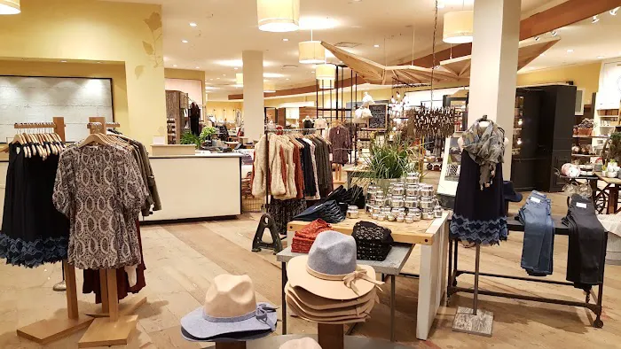 Anthropologie 5